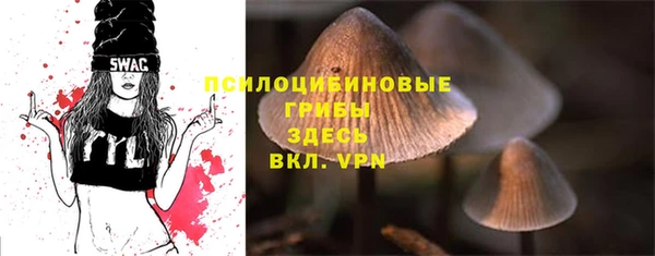 дмт Балахна