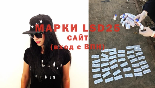 шишки Белоозёрский