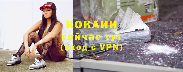 шишки Белоозёрский
