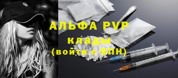 шишки Белоозёрский