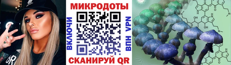 маркетплейс наркотические препараты  где купить наркоту  Новоалександровск  Галлюциногенные грибы Psilocybe 
